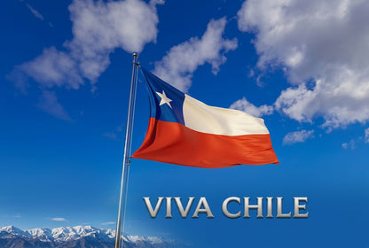 "Kit Oficial de Fiestas Patrias"(Bandera Oficial  + Delantal Master  )
